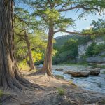 dinosaur valley state park it