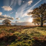 Bradgate Park 2