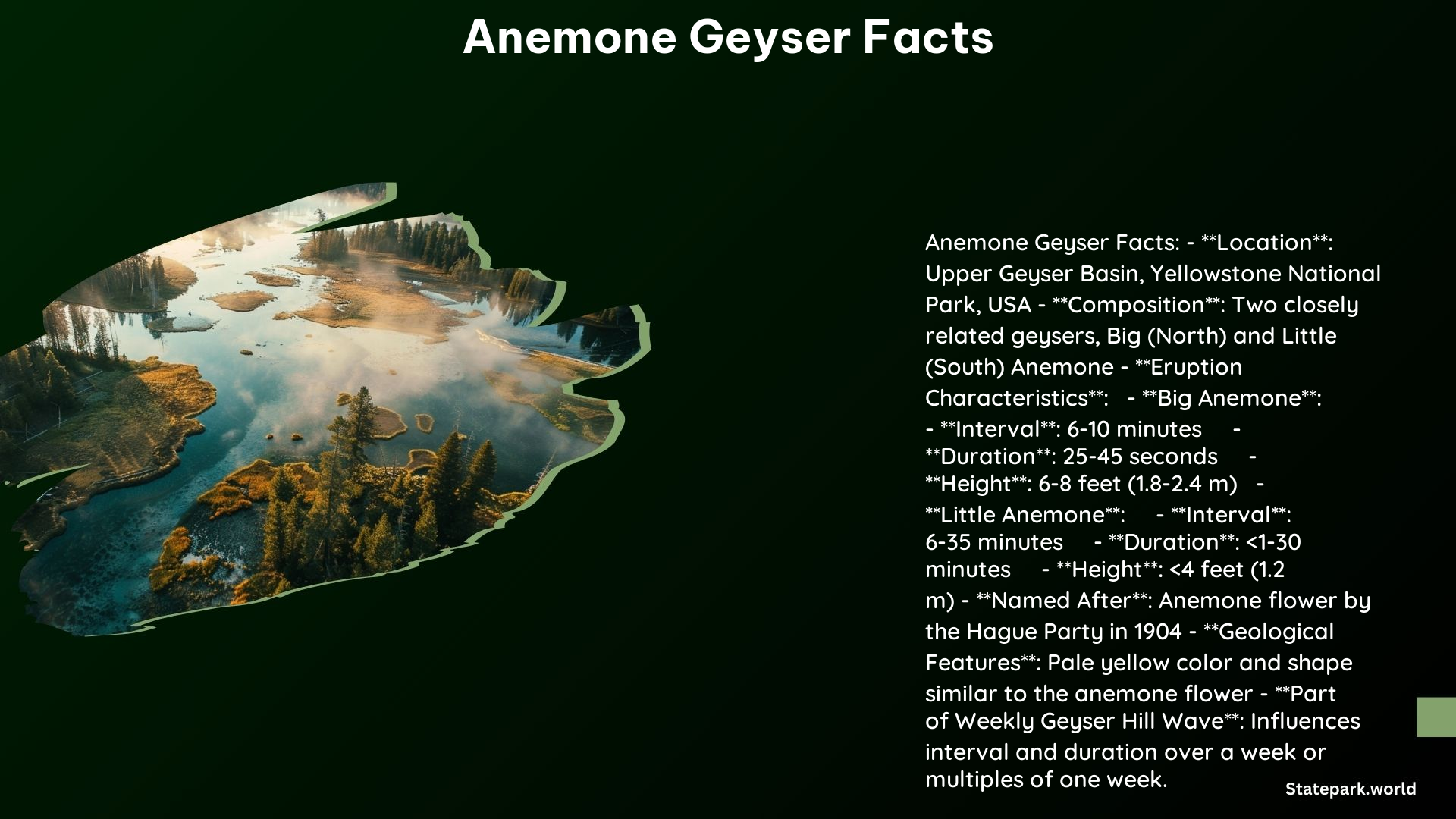 Anemone Geyser Facts