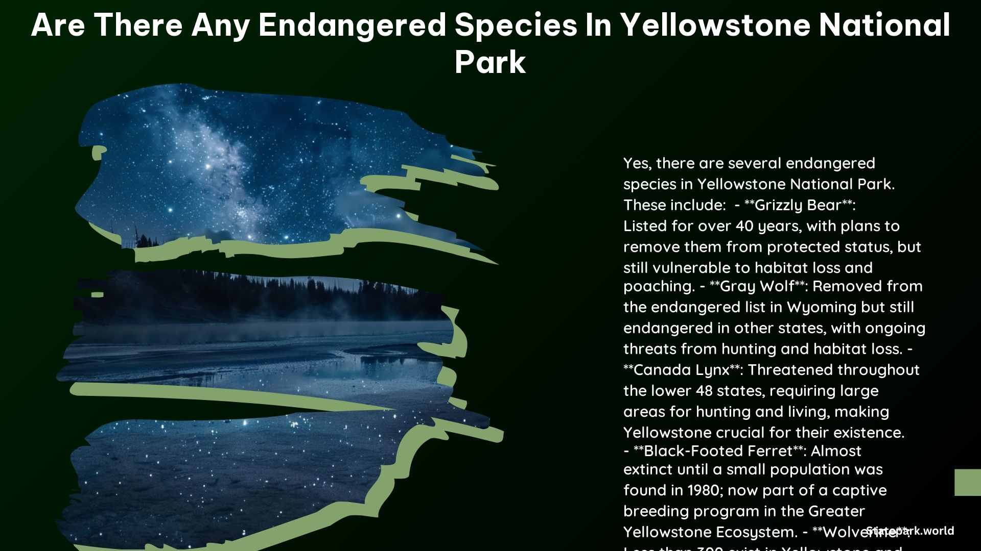 Are There Any Endangered Species in Yellowstone National Park