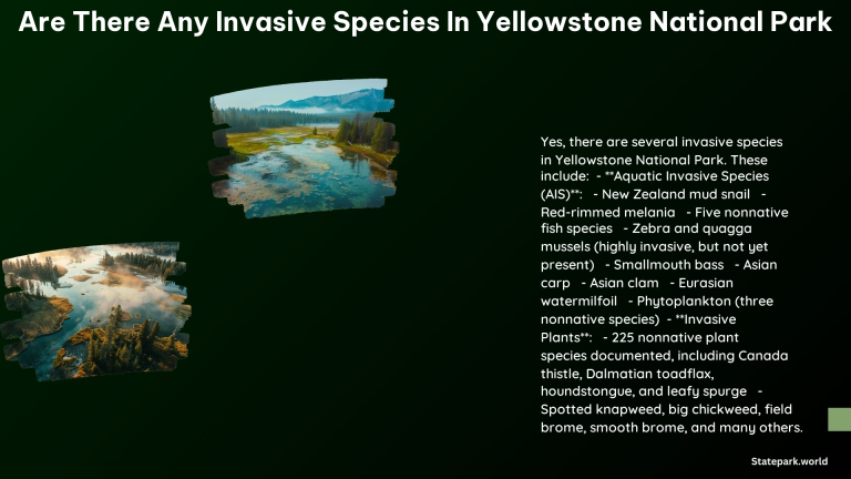 Are There Any Invasive Species in Yellowstone National Park