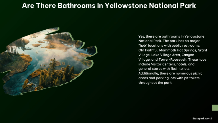 Are There Bathrooms in Yellowstone National Park