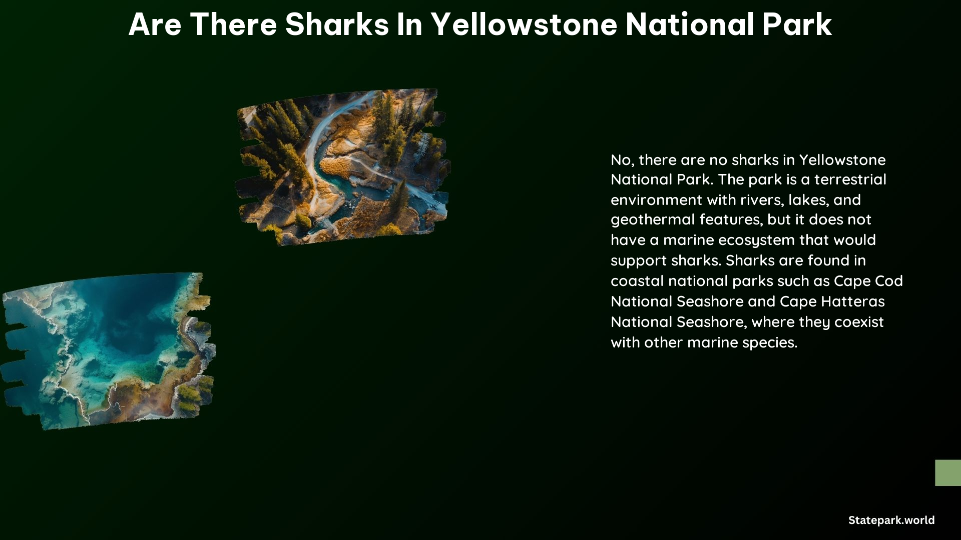 Are There Sharks in Yellowstone National Park