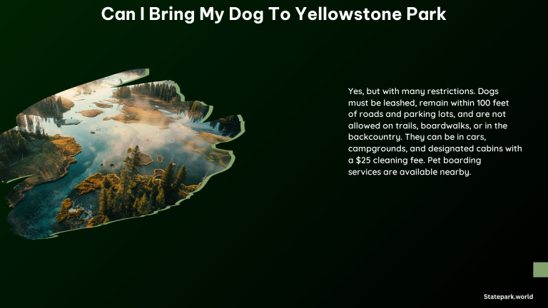 Can I Bring My Dog to Yellowstone Park