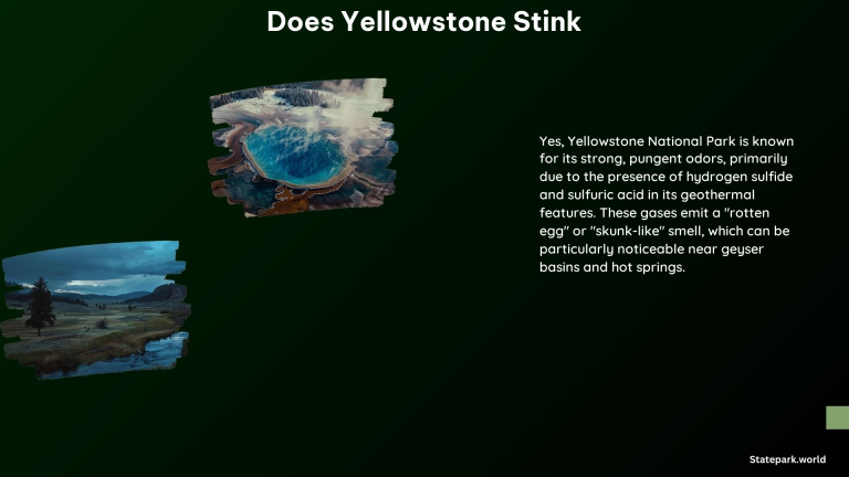 Does Yellowstone Stink