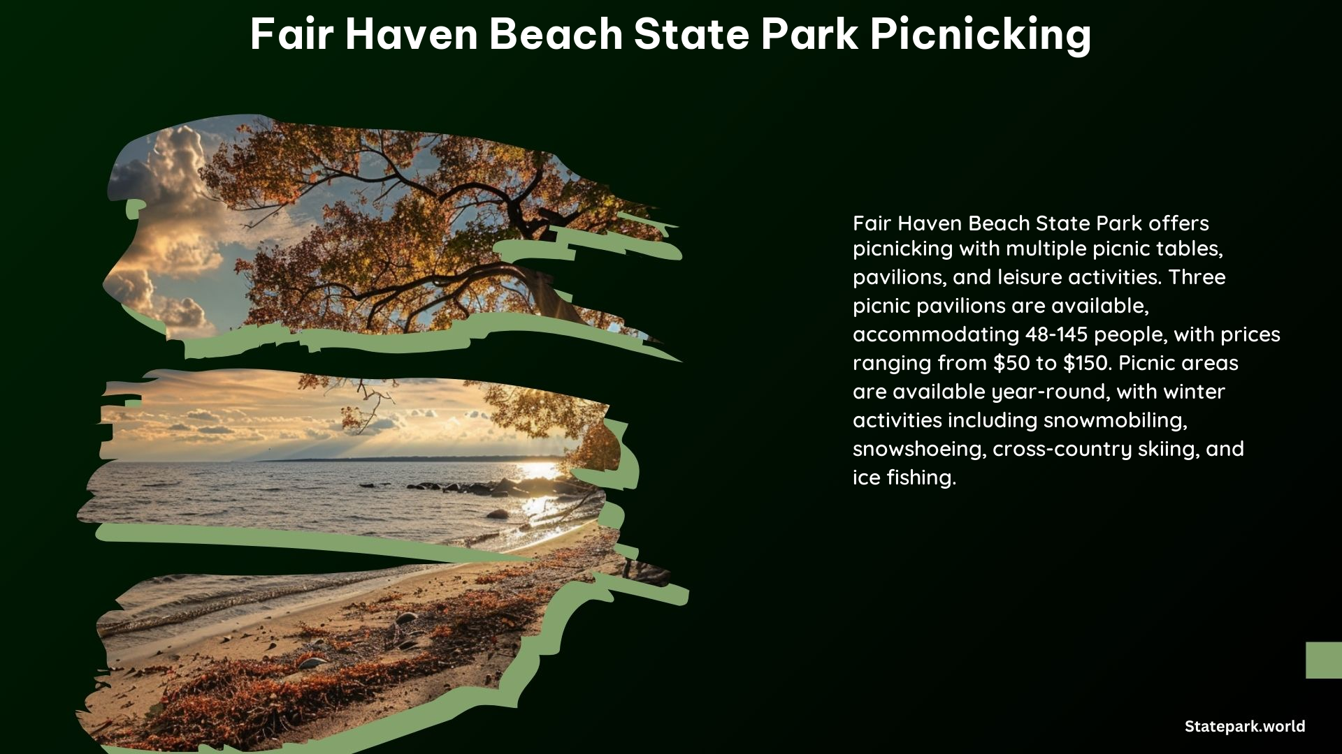 Fair Haven Beach State Park Picnicking