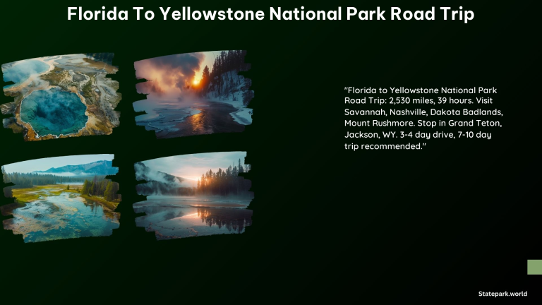 Florida to Yellowstone National Park Road Trip