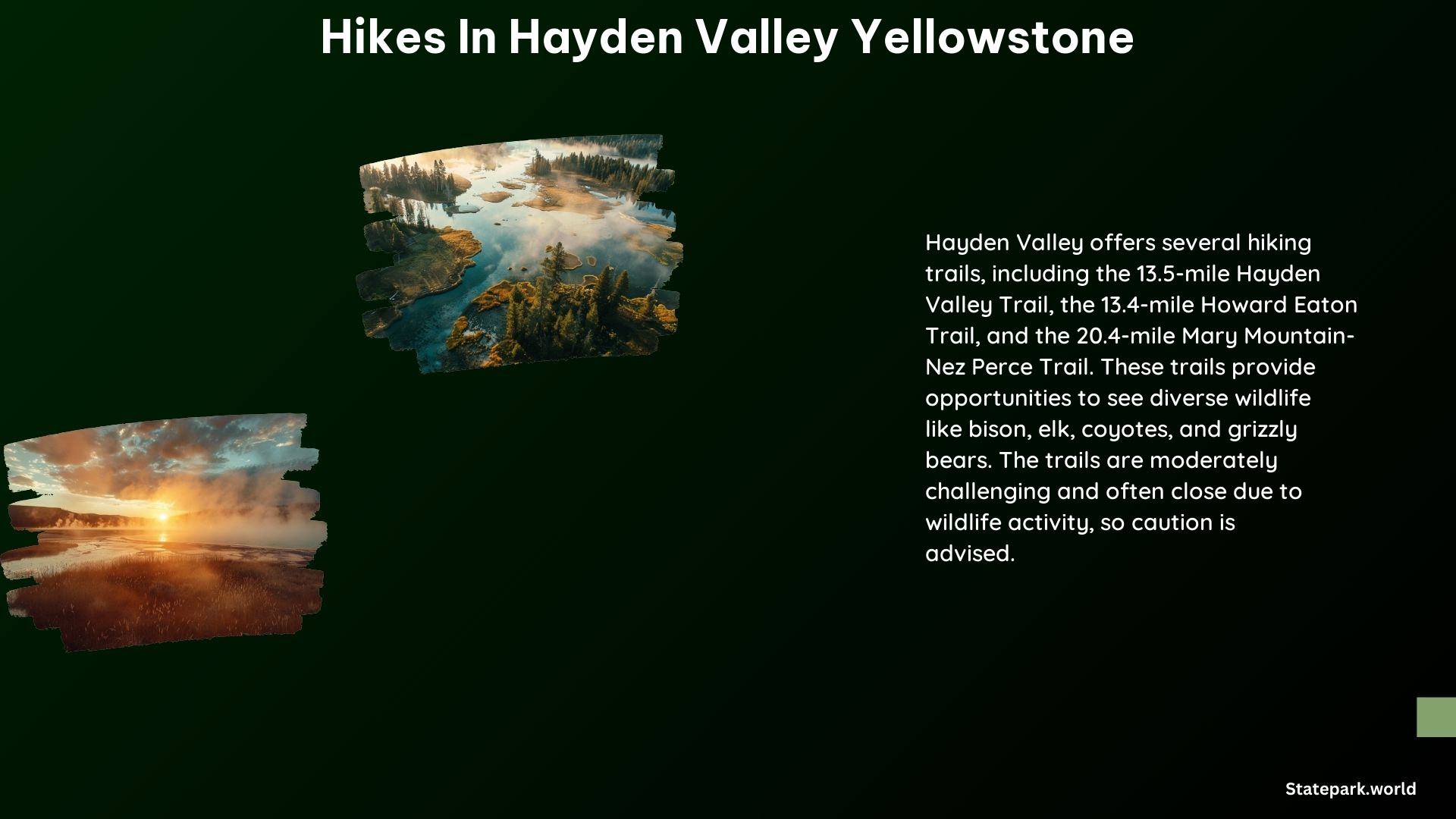 Hikes in Hayden Valley Yellowstone