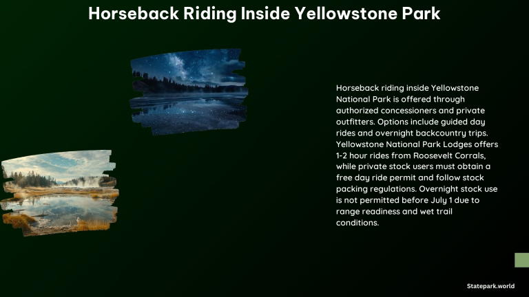 Horseback Riding Inside Yellowstone Park