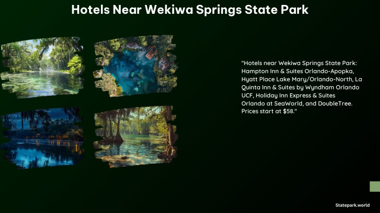 Hotels Near Wekiwa Springs State Park