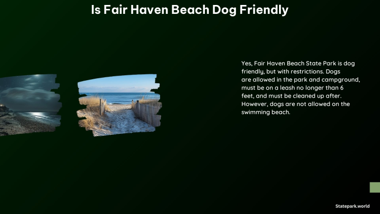 Is Fair Haven Beach Dog Friendly