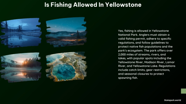 Is Fishing Allowed in Yellowstone