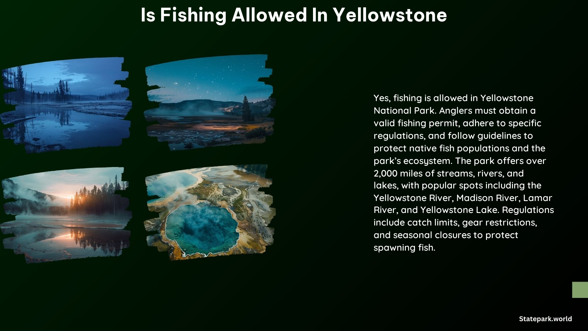 Is Fishing Allowed in Yellowstone