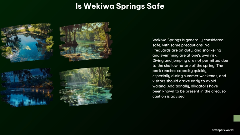 Is Wekiwa Springs Safe