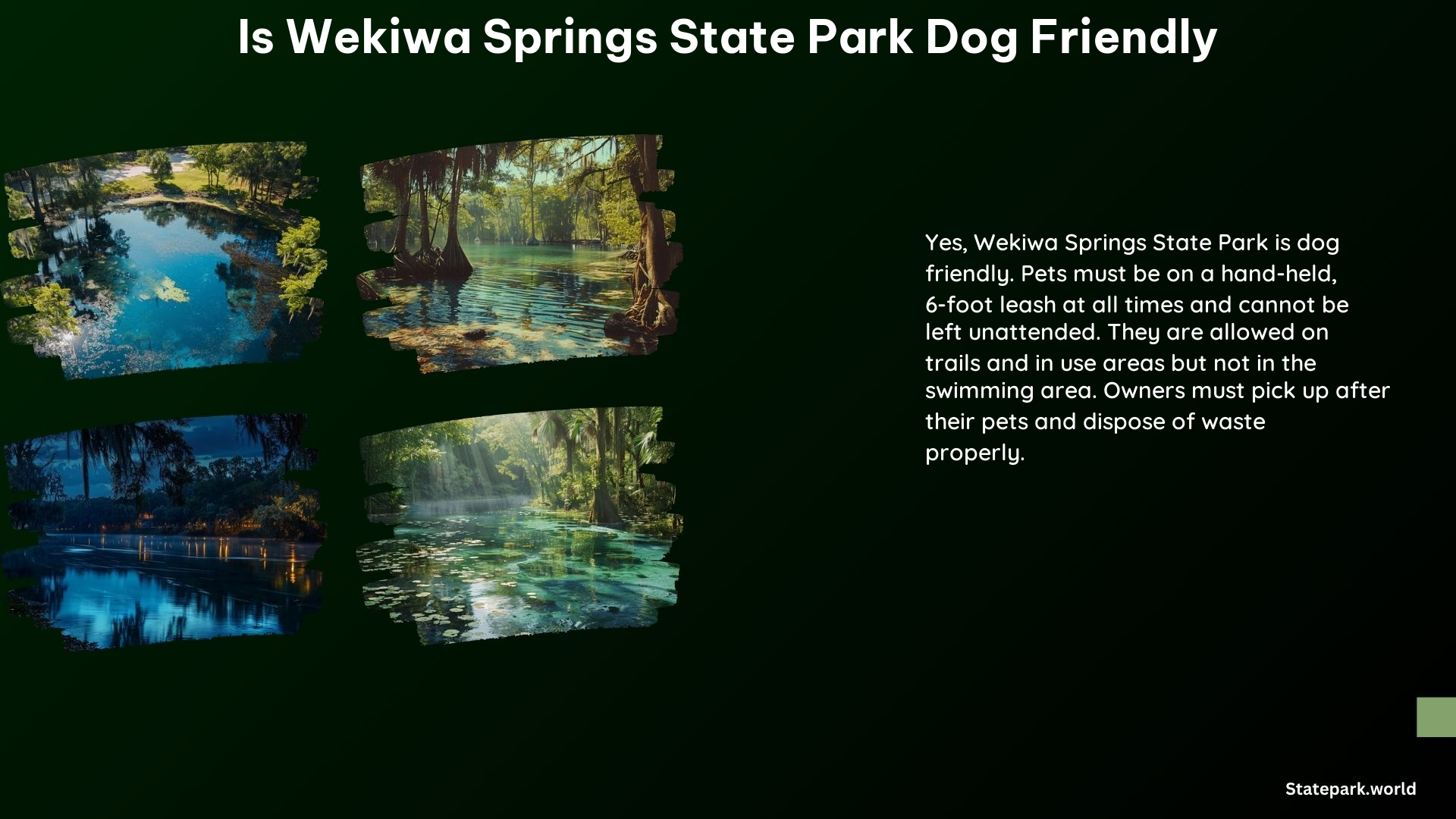 Is Wekiwa Springs State Park Dog Friendly