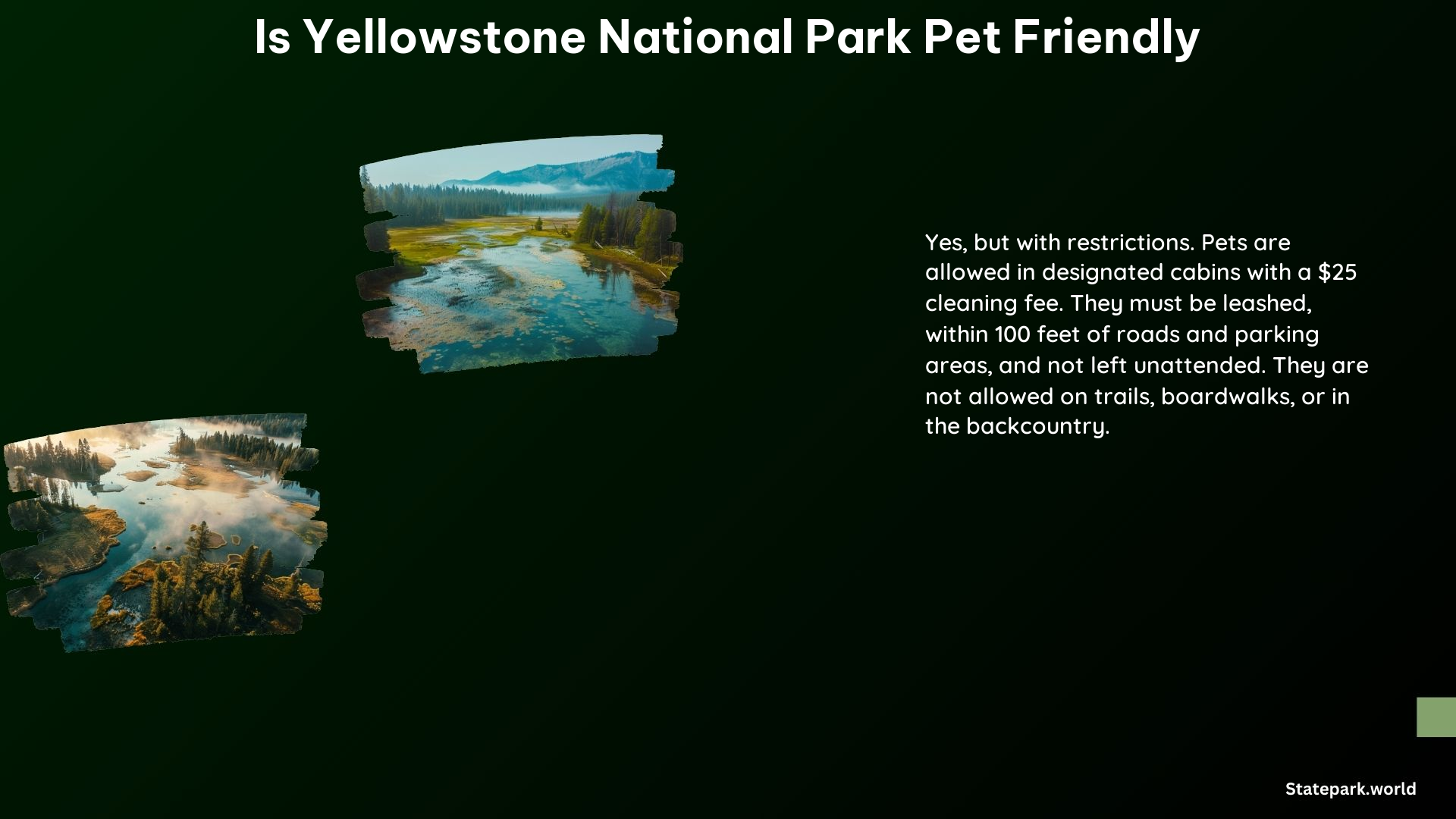 Is Yellowstone National Park Pet Friendly