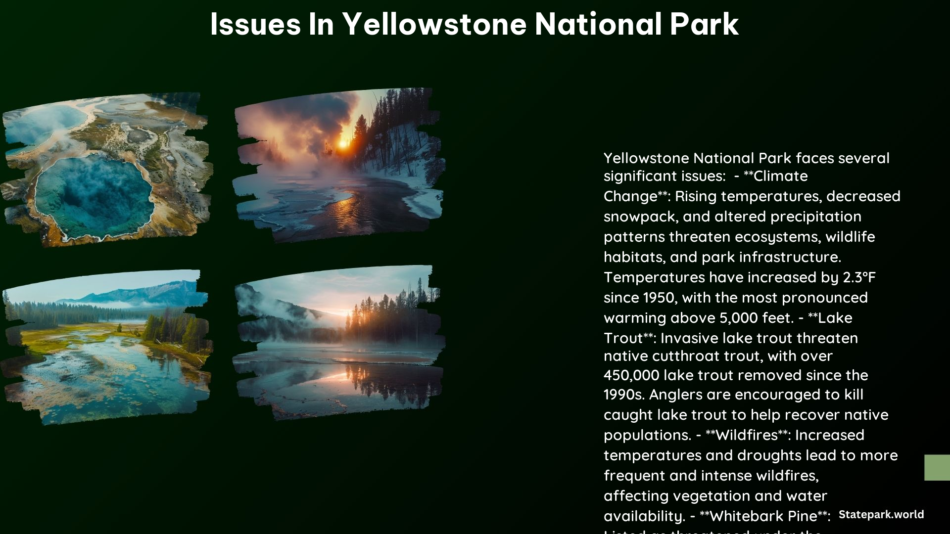 Issues in Yellowstone National Park