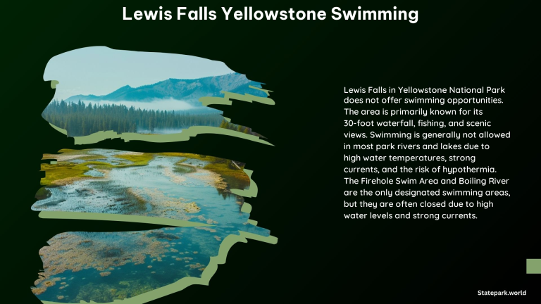 Lewis Falls Yellowstone Swimming