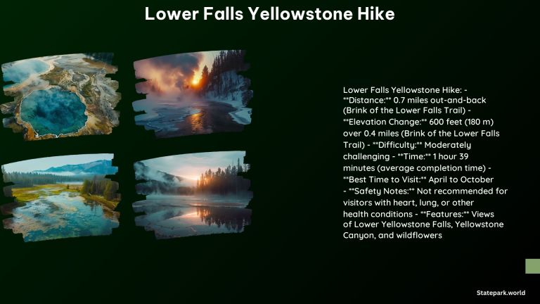 Lower Falls Yellowstone Hike