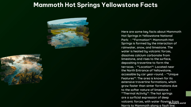 Mammoth Hot Springs Yellowstone Facts