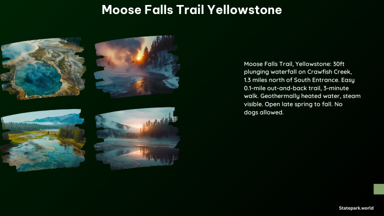 Moose Falls Trail Yellowstone