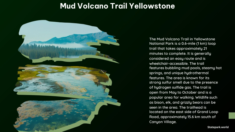 Mud Volcano Trail Yellowstone