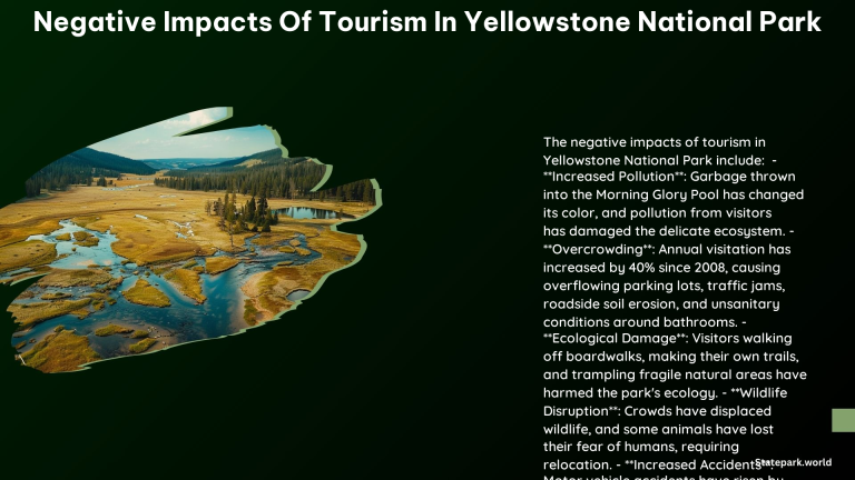 Negative Impacts of Tourism in Yellowstone National Park