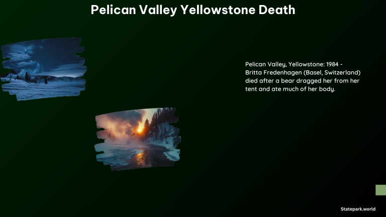 Pelican Valley Yellowstone Death