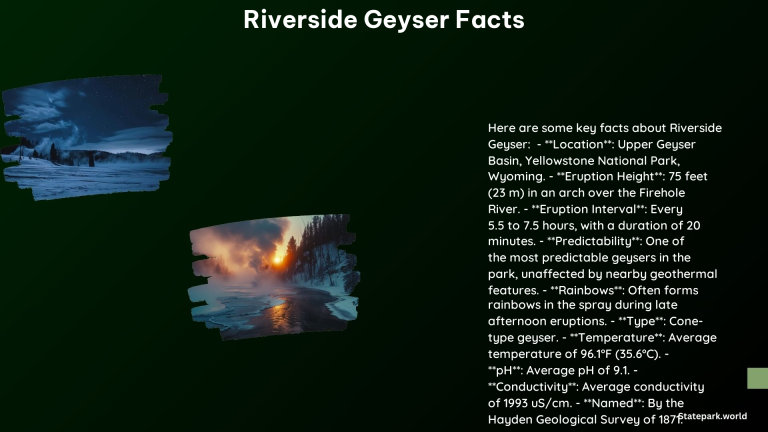 Riverside Geyser Facts