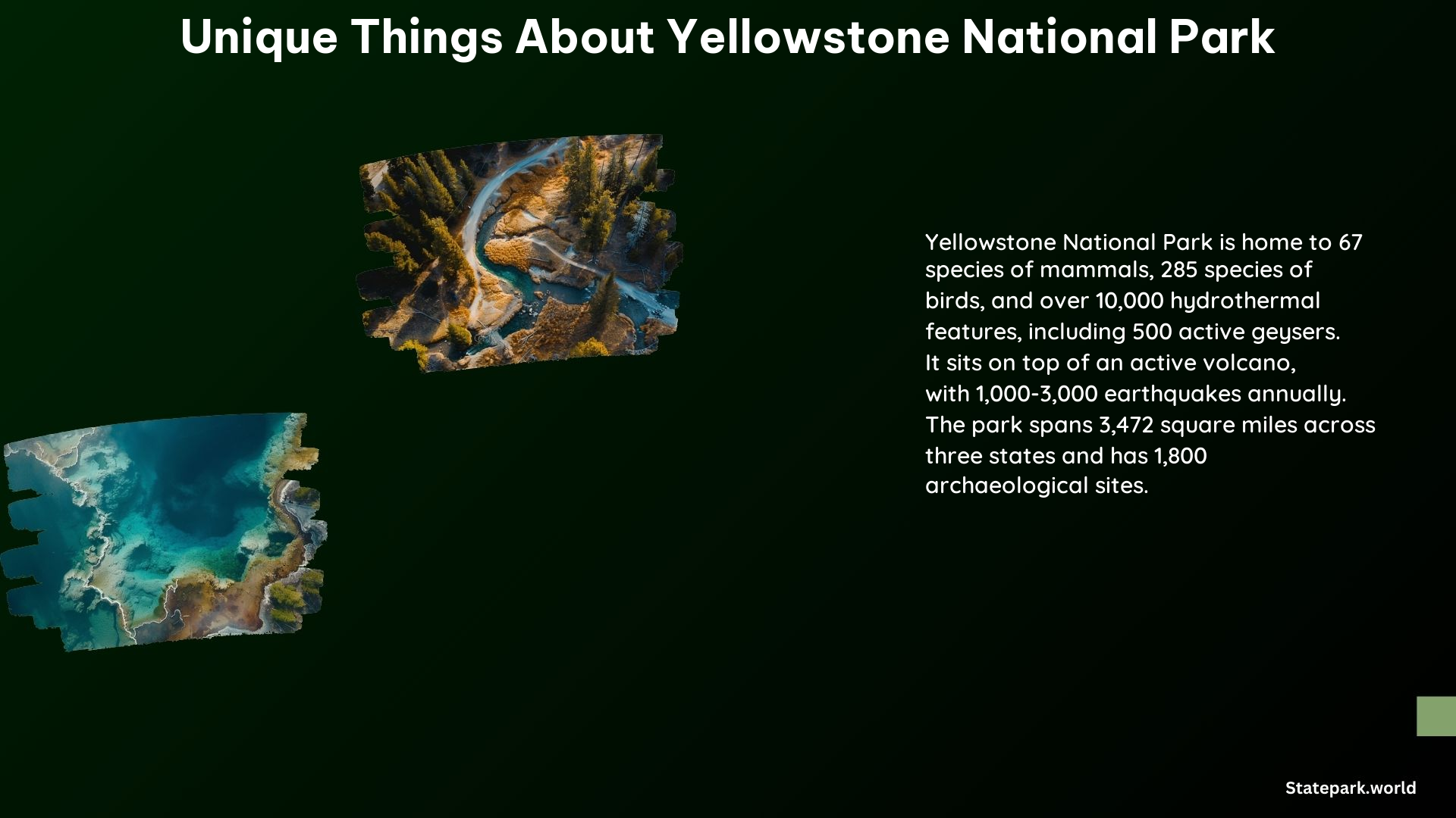 Unique Things About Yellowstone National Park