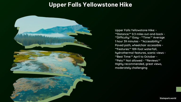 Upper Falls Yellowstone Hike