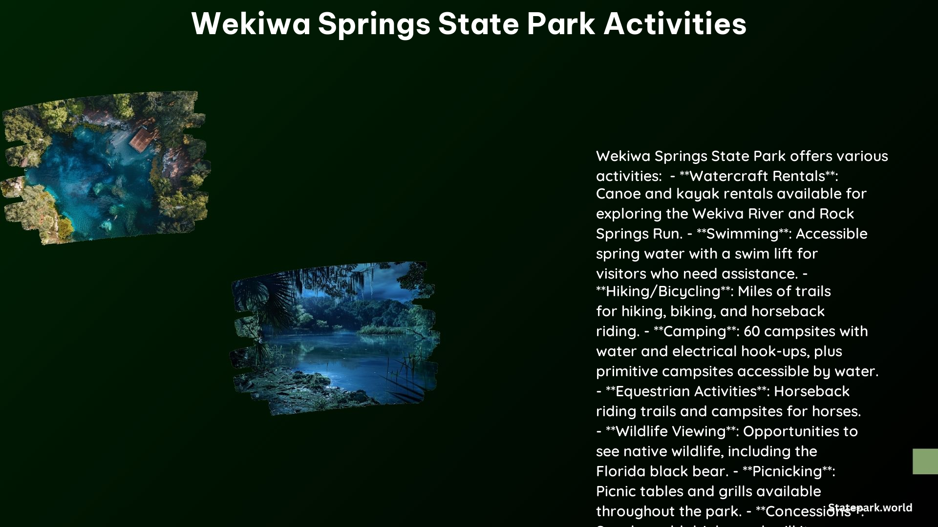 Wekiwa Springs State Park Activities