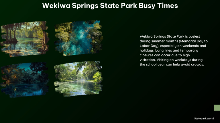 Wekiwa Springs State Park Busy Times