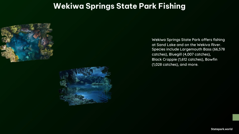 Wekiwa Springs State Park Fishing