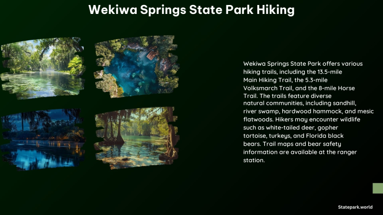 Wekiwa Springs State Park Hiking