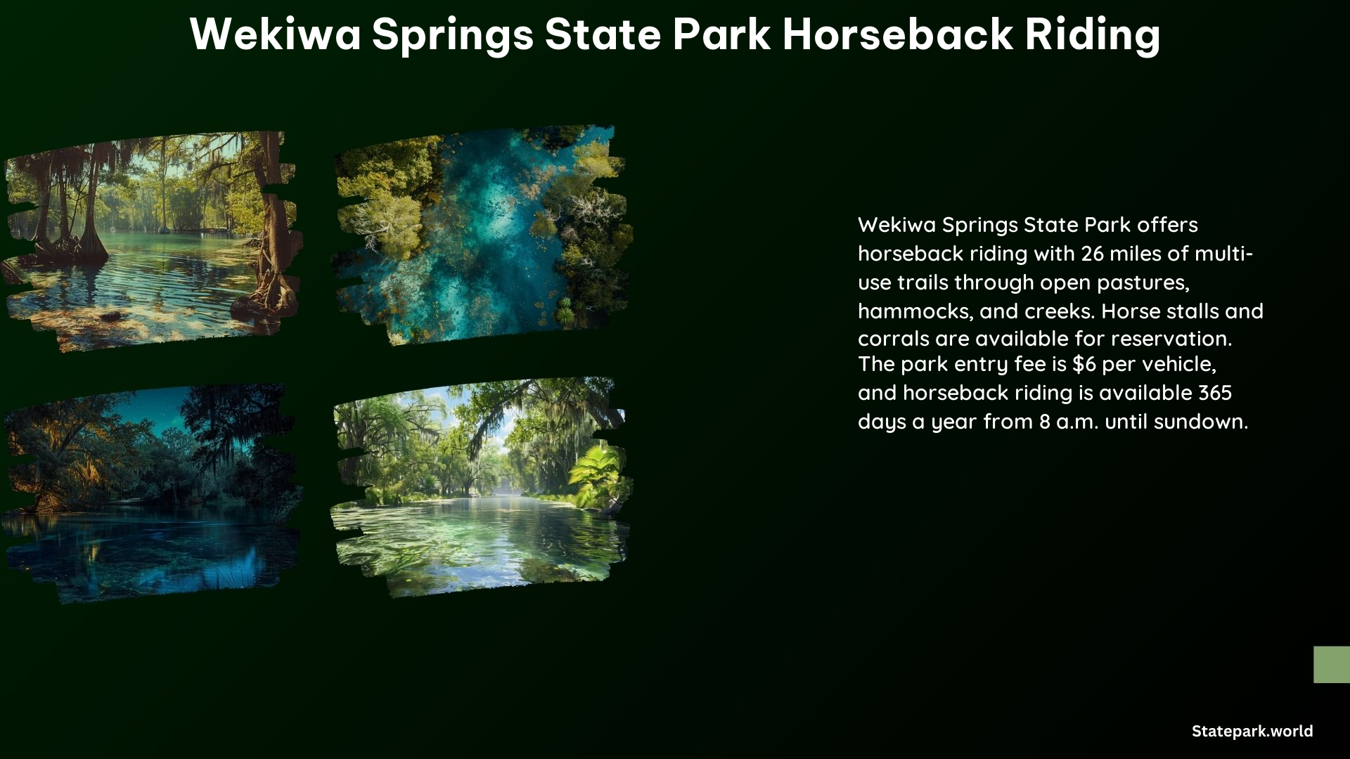 Wekiwa Springs State Park Horseback Riding