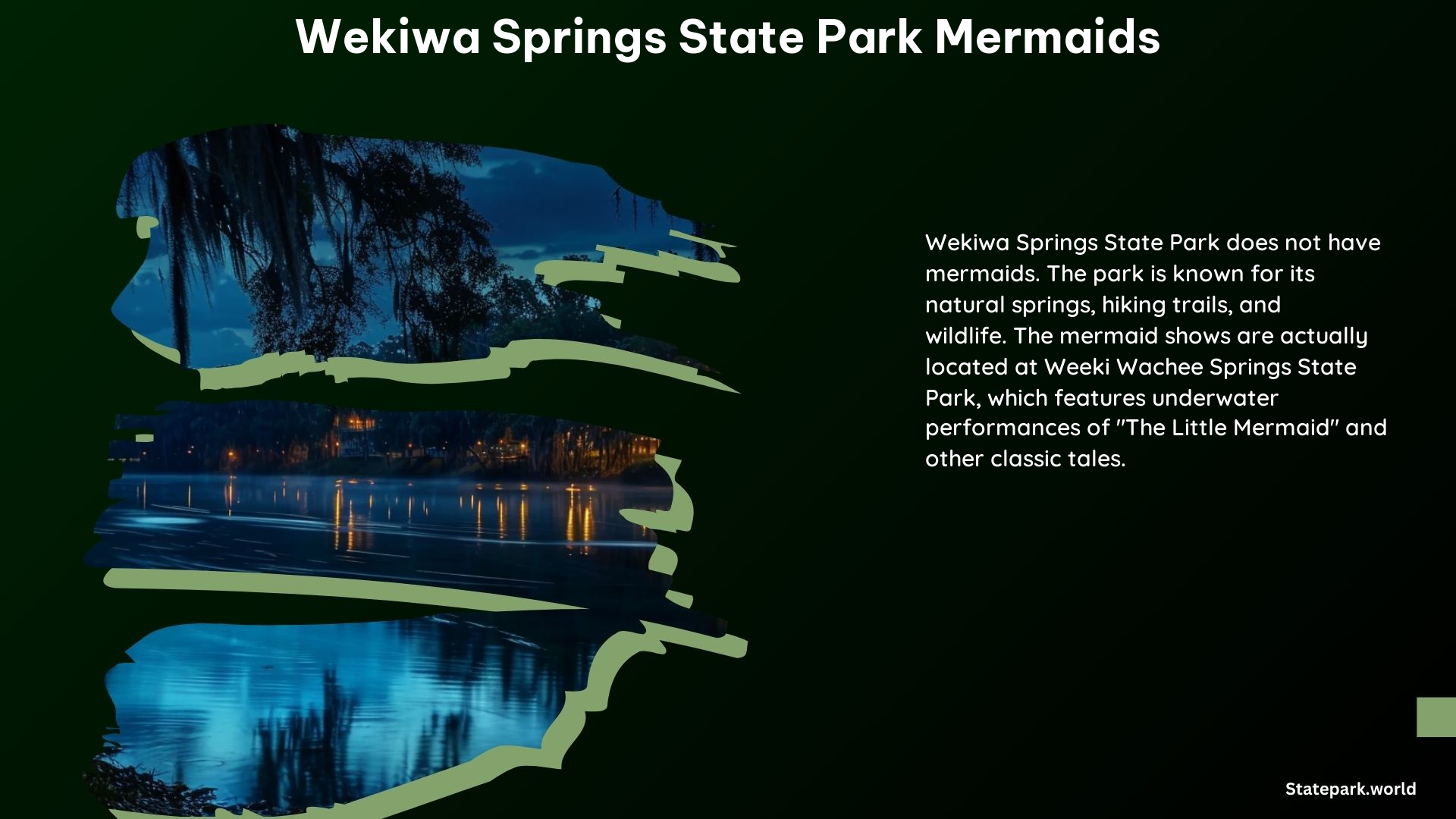 Wekiwa Springs State Park Mermaids