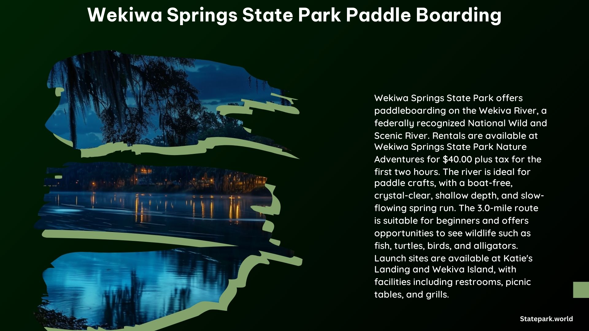 Wekiwa Springs State Park Paddle Boarding