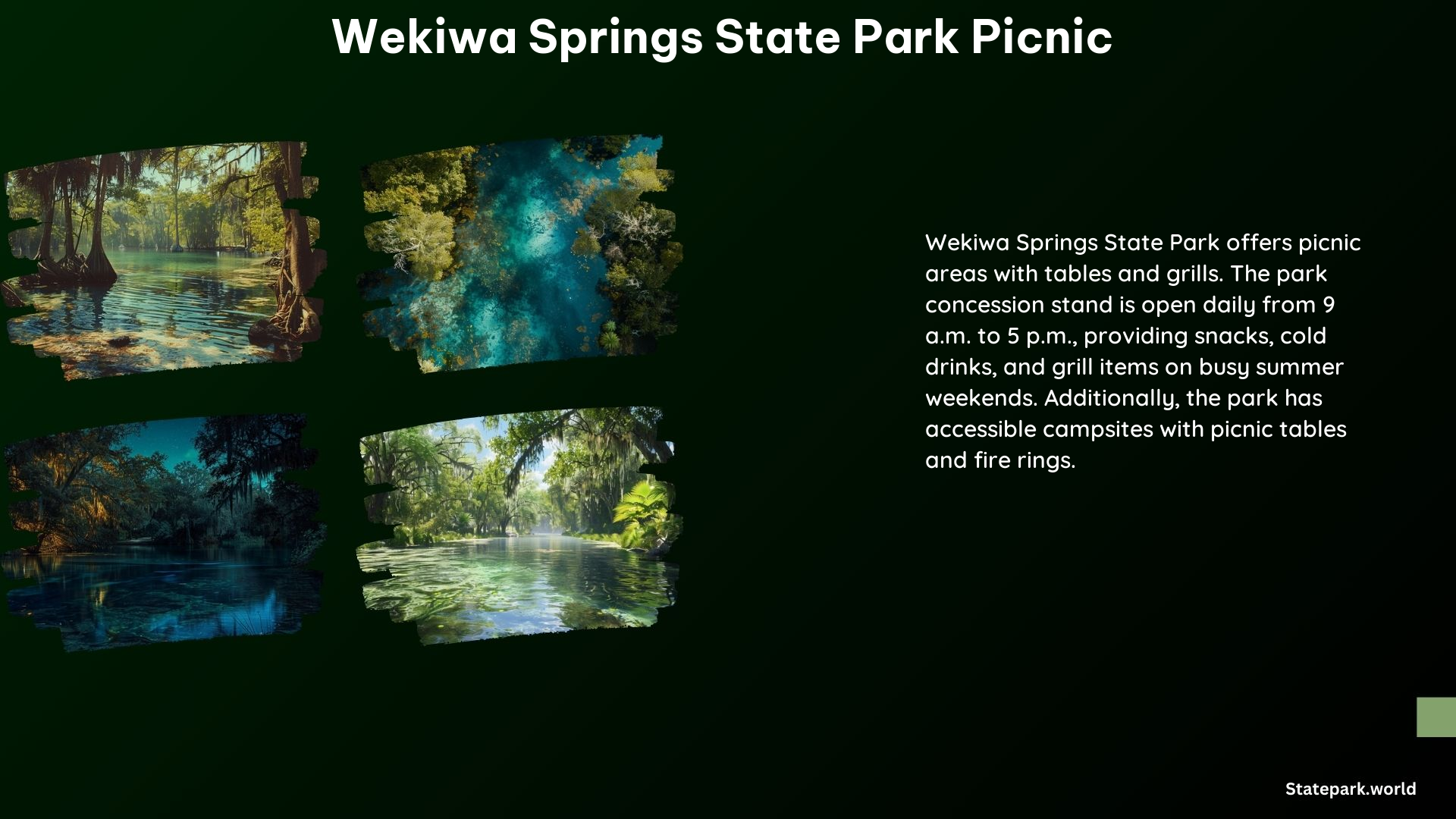 Wekiwa Springs State Park Picnic 