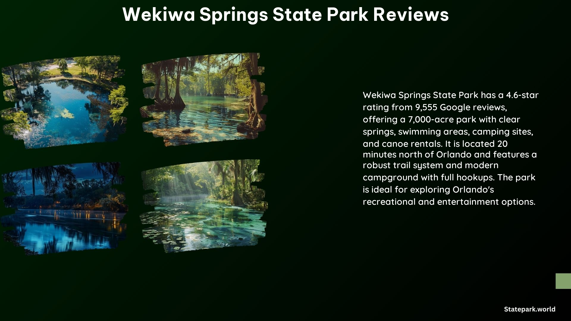 Wekiwa Springs State Park Reviews