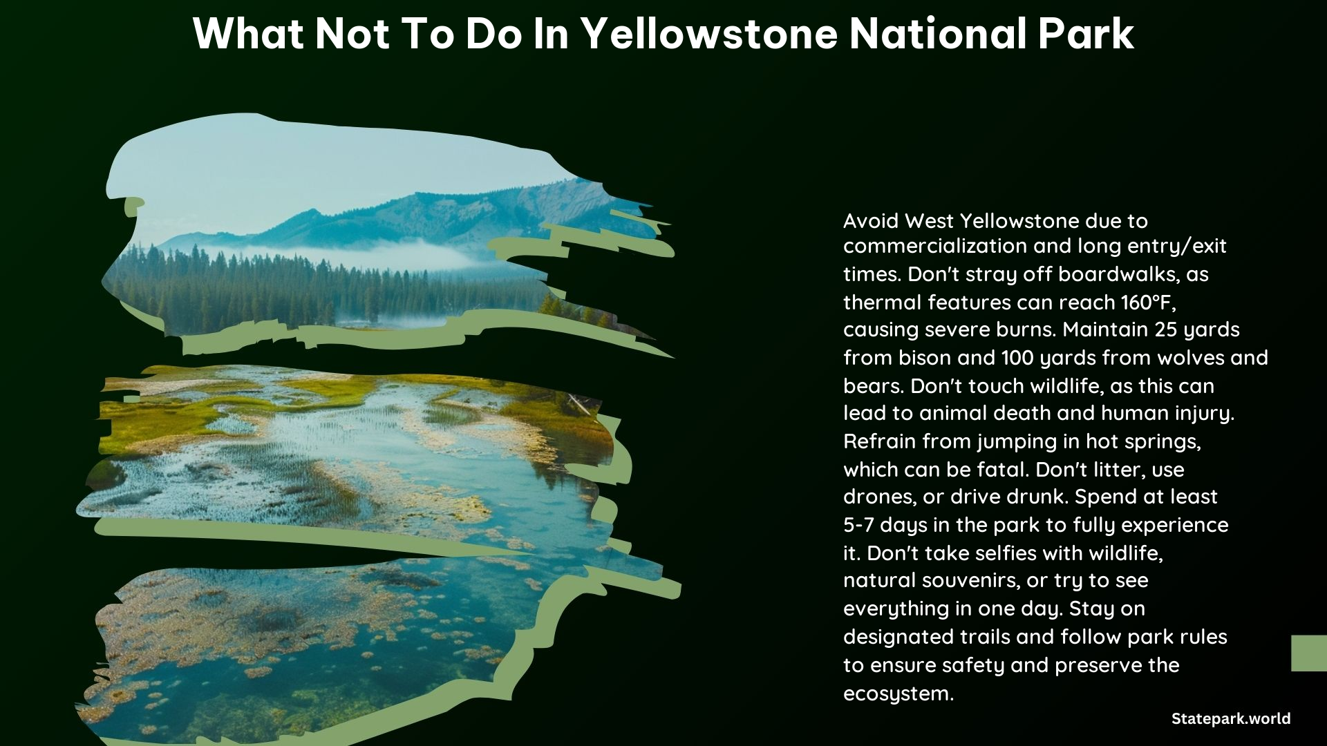 What Not to Do in Yellowstone National Park