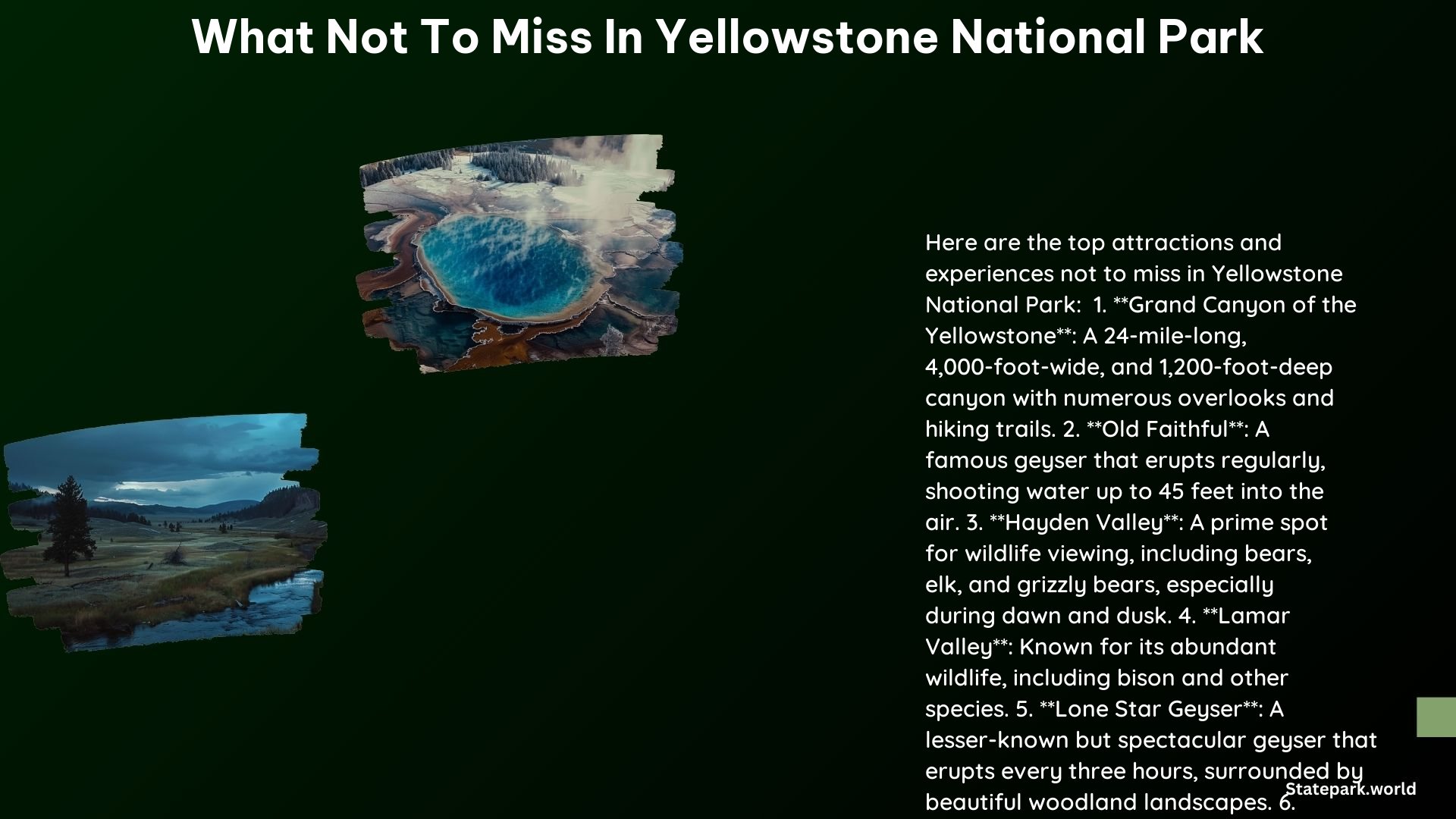 What Not to Miss in Yellowstone National Park