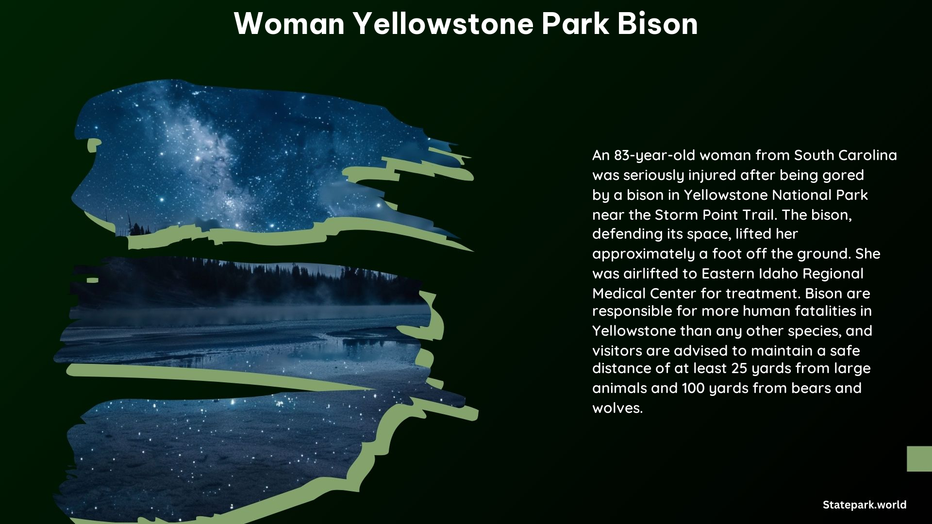 Woman Yellowstone Park Bison