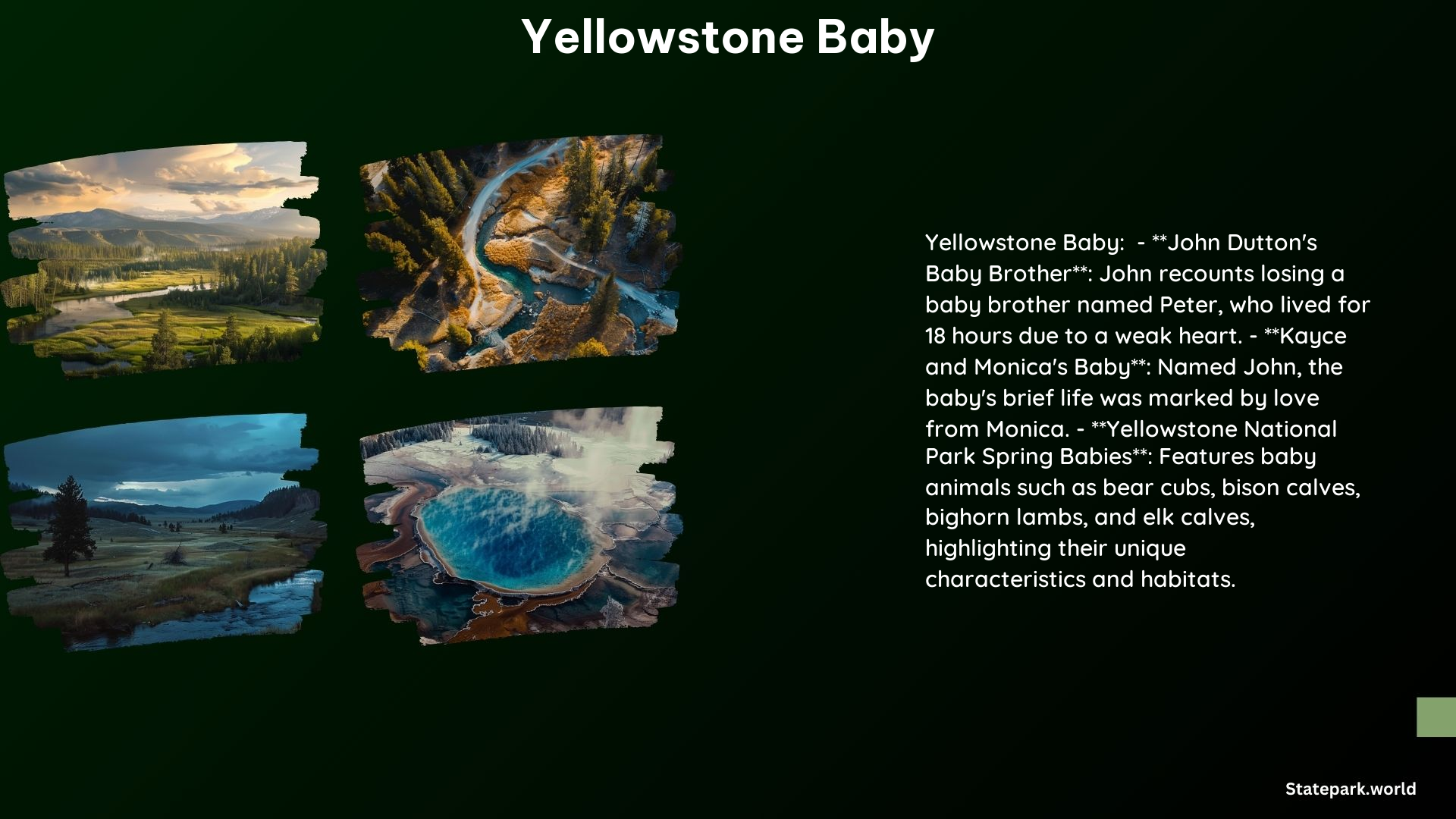 Yellowstone Baby