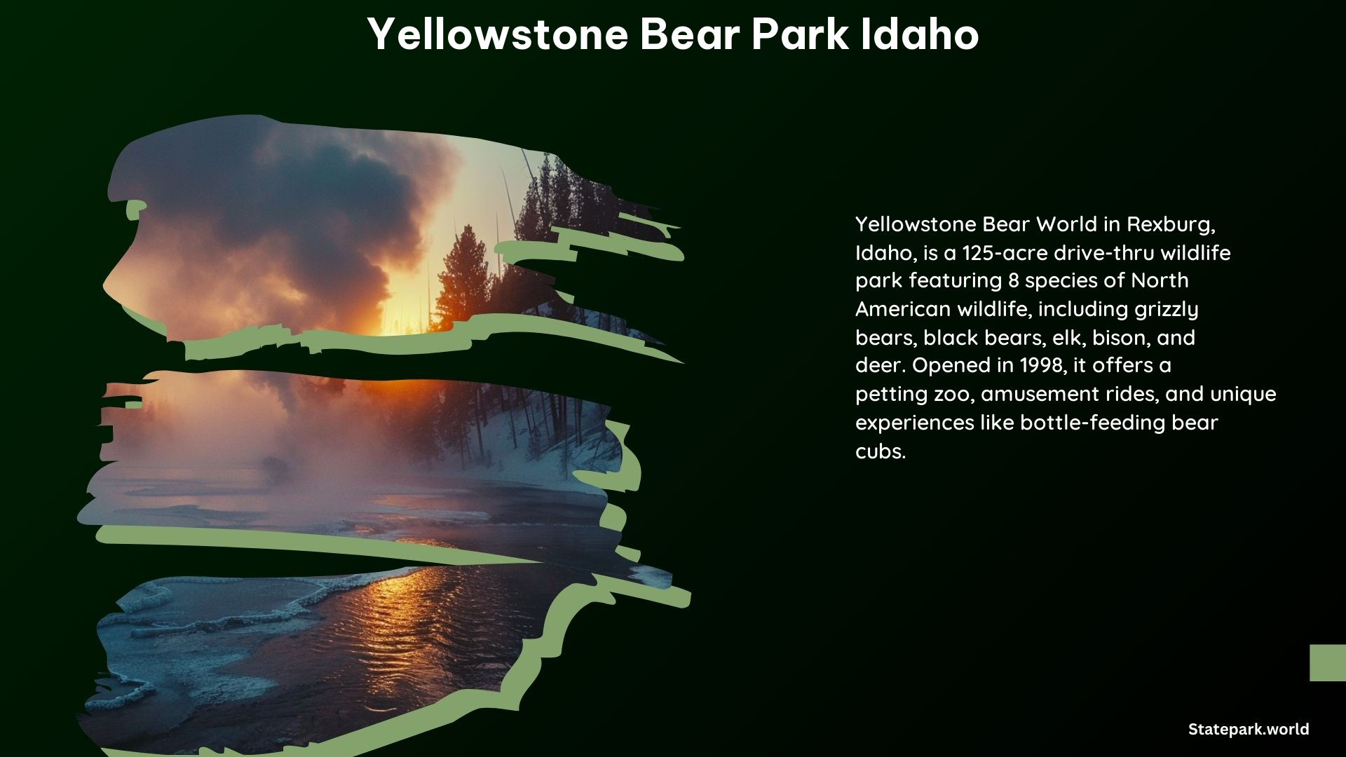 Yellowstone Bear Park Idaho