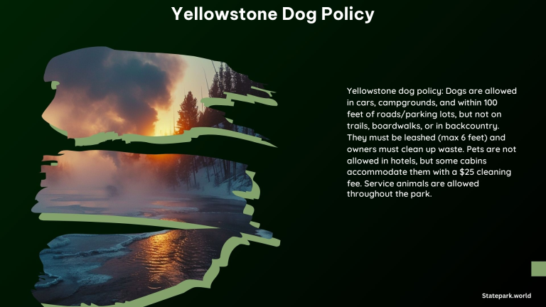 Yellowstone Dog Policy