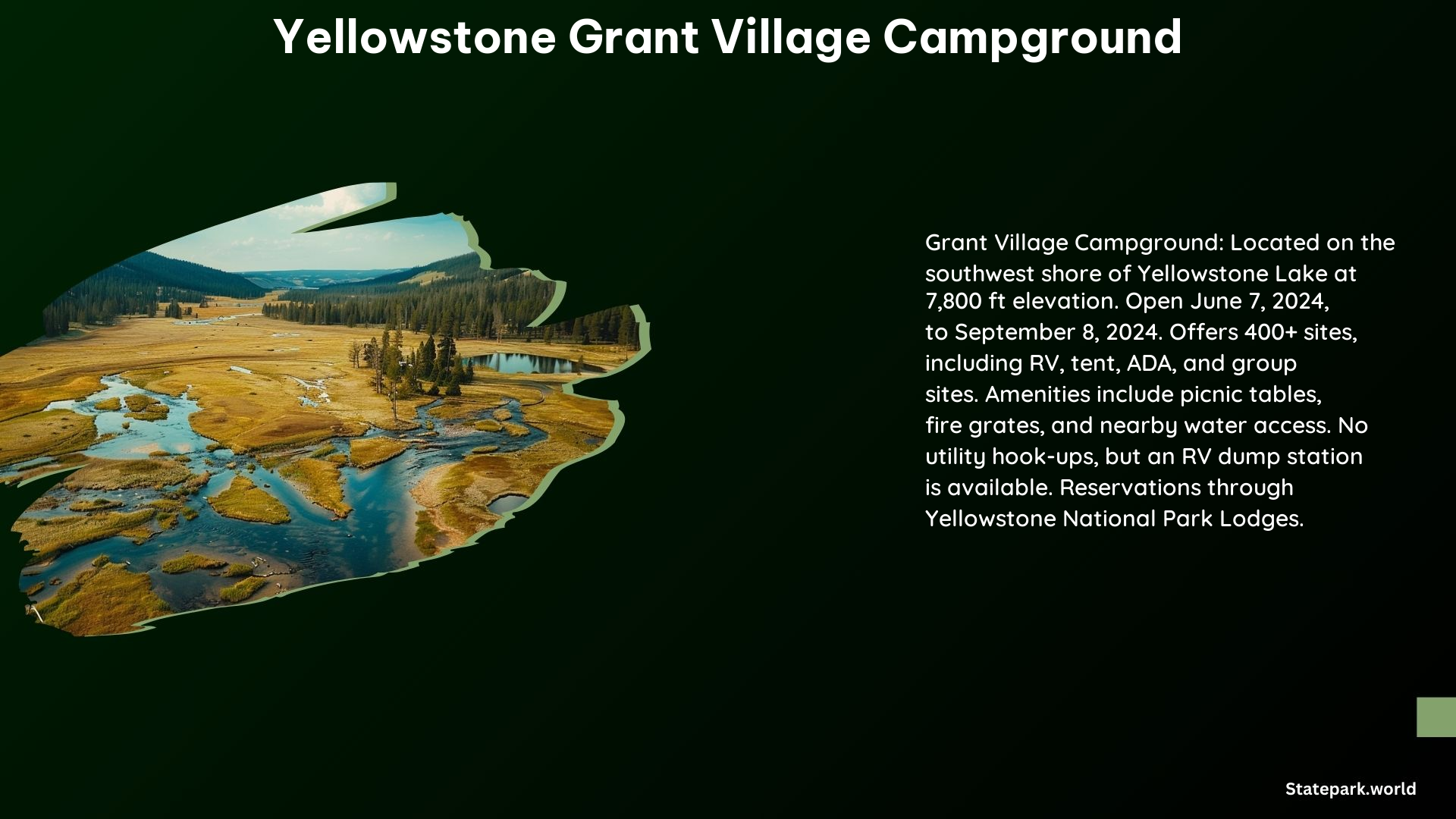 Yellowstone Grant Village Campground