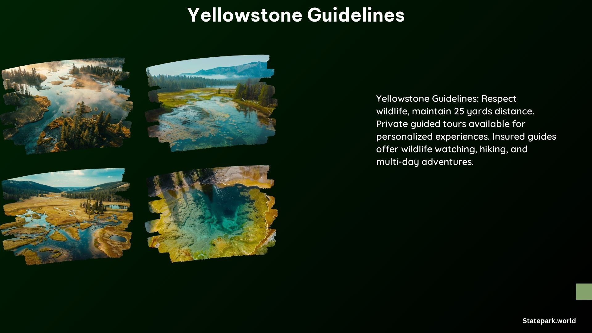 Yellowstone Guidelines