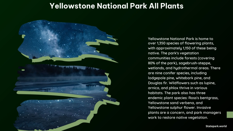 Yellowstone National Park All Plants