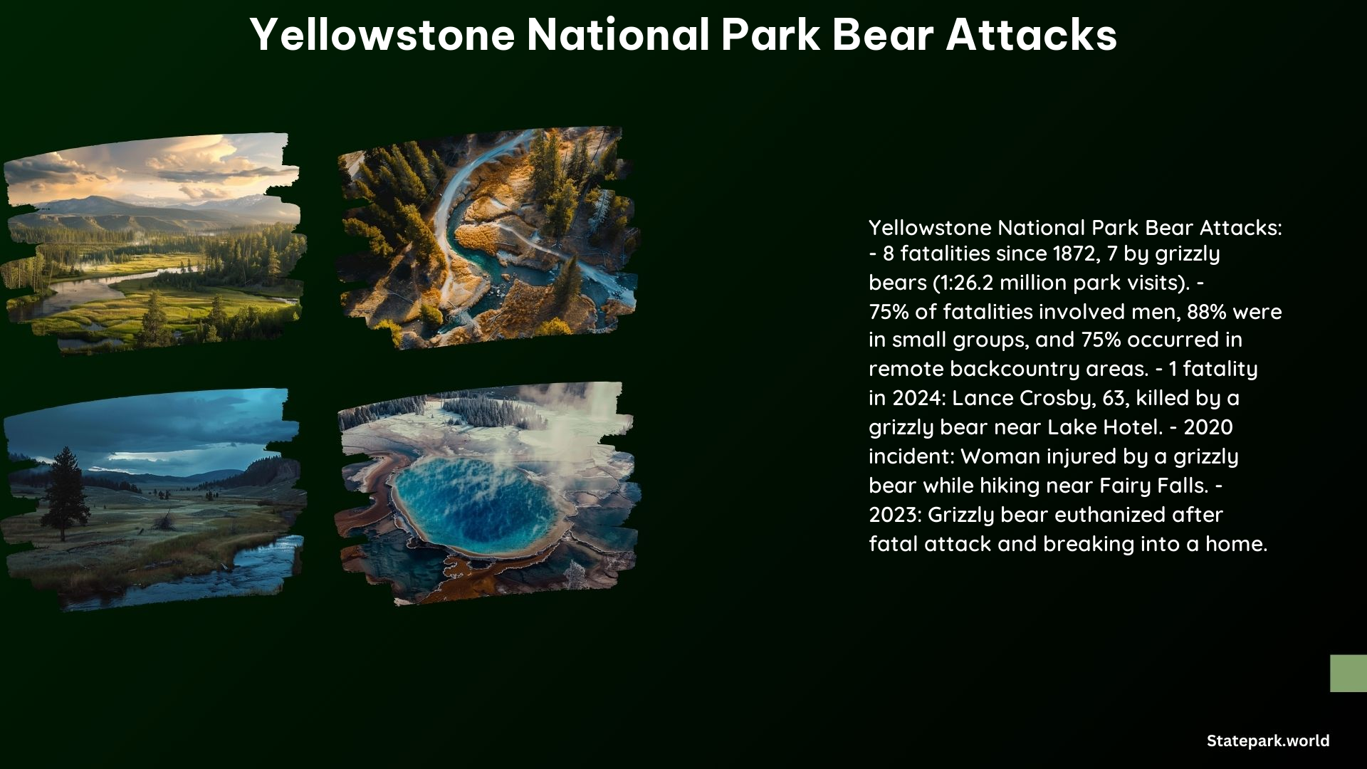 Yellowstone National Park Bear Attacks